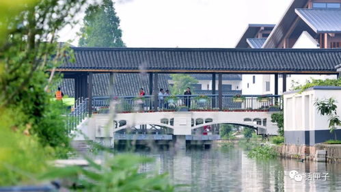 住在風(fēng)景里，何必還要去找風(fēng)景——宜興網(wǎng)站建設(shè)讓美麗鄉(xiāng)村觸手可及