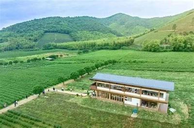 數字化治理新篇章 從宜興西渚鎮網站建設到高塍鎮2025年政府網站焦點